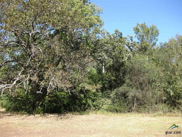 TBD S Hwy 37: S Hwy 37, Mount Vernon, TX 75457